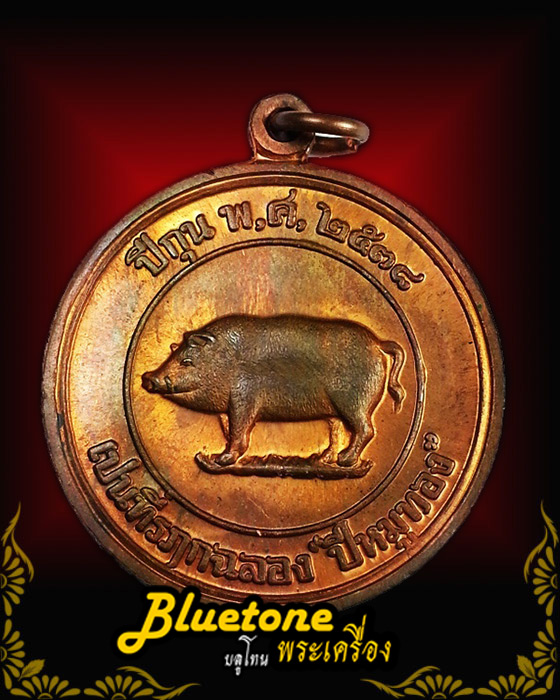 หมู หมู เหรียญหมูปี2538 พิเศษ 2 หน้าหายาก เนื้อทองแดง หลวงพ่อสาคร