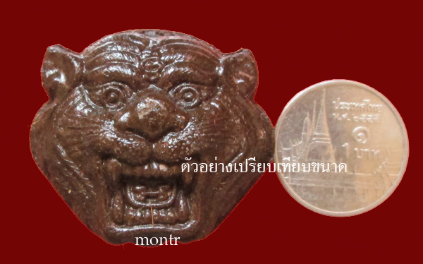 หัวเสือผงพรายกุมาร หลวงพ่อสาคร วัดหนองกรับ รุ่น 100 วัน