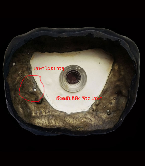 เคาะเดียว พระบูชาหลวงปู่หมุน วัดบ้านจาน ขนาด 5 นิ้ว รุ่นเสาร์ 5 บูชาครู ปี43 สภาพสวยมากๆ