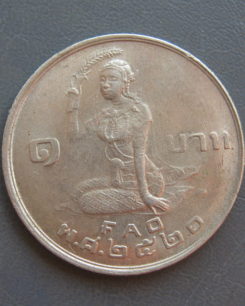 เหรียญ FAO ปี ๒๕๒๐