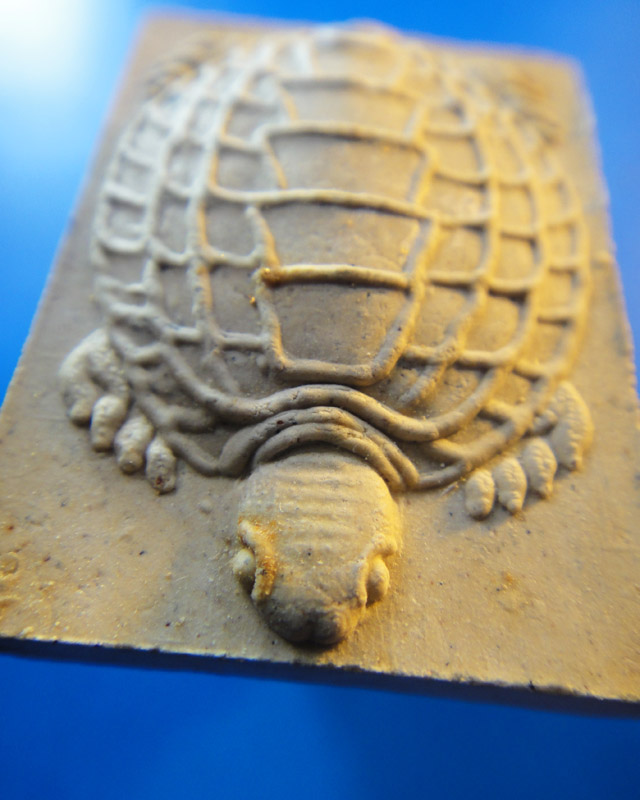 ฿..เบาๆ..฿เต่า หลวงพ่ออุ้น วัดตาลกง เพชรบุรี