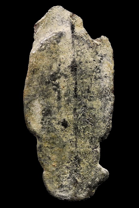 วังเพิ่ม