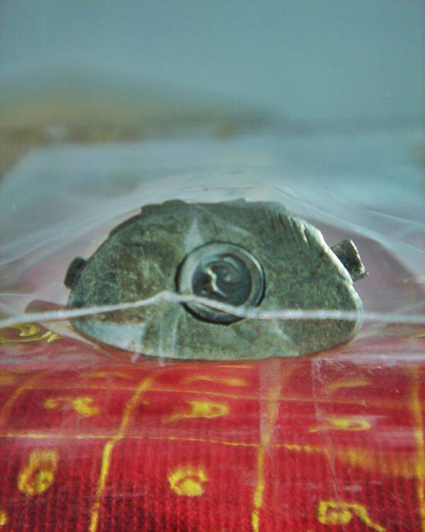 กริ่งพระชินราช