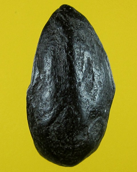 พระพิจิตรเม็ดน้อยหน่า หลังไม่มียันต์