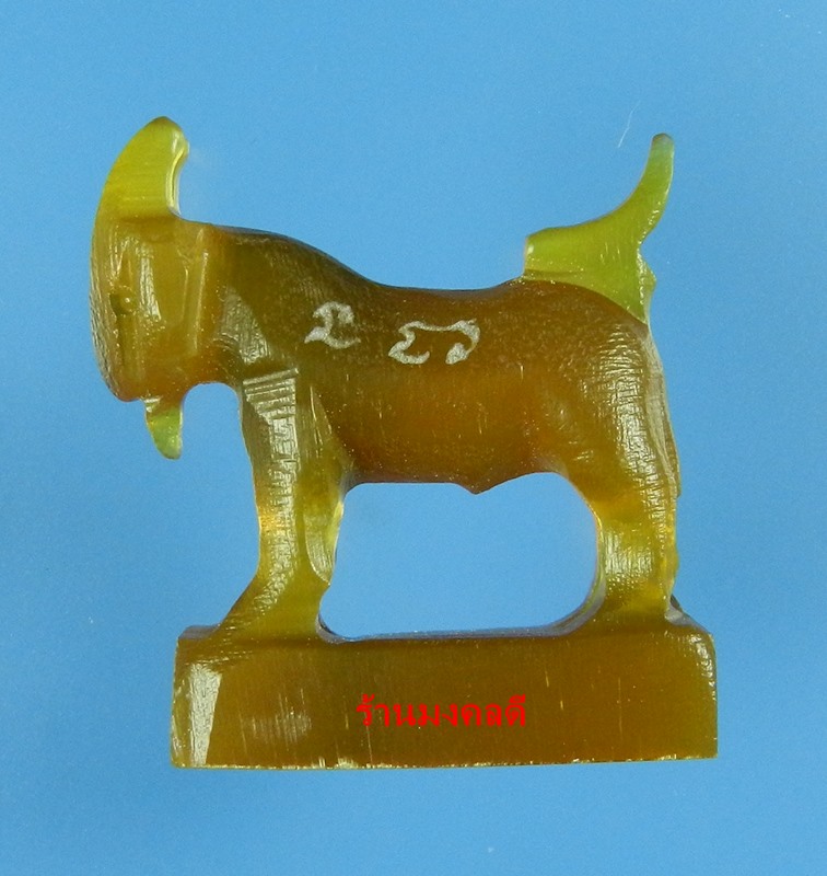 แพะมหาเสน่ห์ คัวผู้แกะจากเขาควาย สีน้ำผึ้งเข้ม มีสีดำแซมคลาสิค หลวงพ่อสิน วัดละหารใหญ่ สภาพสวย No.20