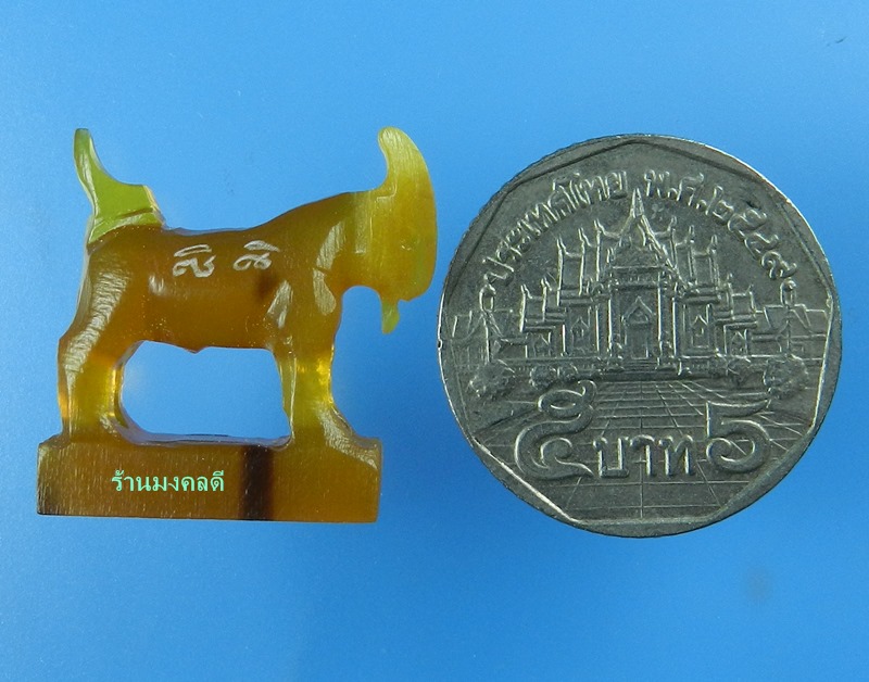 แพะมหาเสน่ห์ แกะจากเขาควาย สีน้ำผึ้งเข้ม สวยคลาสิค หลวงพ่อสิน วัดละหารใหญ่ (สภาพสวย) No.24