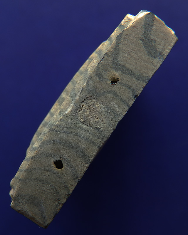 2.สมเด็จหลวงพ่อแพ วัดพิกุลทอง พิมพ์ปรกโพธิ์ (เยือนอินเดีย) สายรุ้ง พ.ศ. 2514 ฝังตะกรุด 3 กษัตริย์