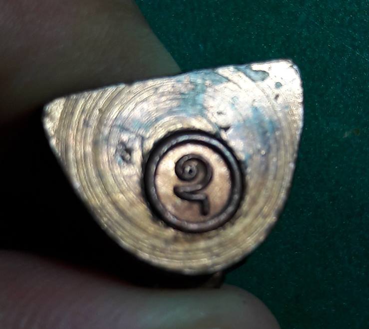 เจ้าคุณโพธิ์ วัดชัยพฤกษมาลา " รูปหลอเสด็จพระราชดำเนินฯ ปี 2520 เนื้อนวะ "