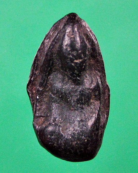 พระพิจิตรเม็ดน้อยหน่า หลังไม่มียันต์ กรุท่าฉนวน พิจิตร