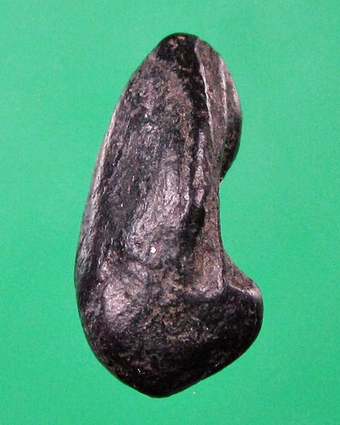 พระพิจิตรเม็ดน้อยหน่า หลังไม่มียันต์ กรุท่าฉนวน พิจิตร