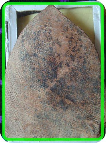 พระแผงซุ้มนครโกษา เนื้อดิน กรุวัดเชตุพน