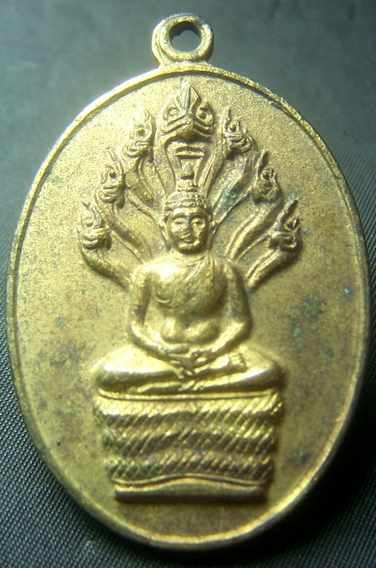 เหรียญนาคปรก เจ้าคุณนร ทองแดงกะหลั่ยทอง เดิมๆ สวยครับ