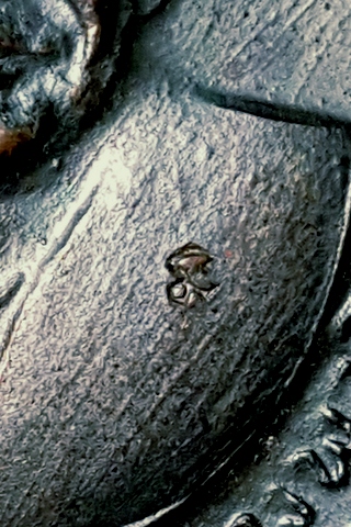 หลวงพ่อเงิน หลวงพ่อแช่ม วัดดอนยายหอม ปี 16  3 โค๊ด