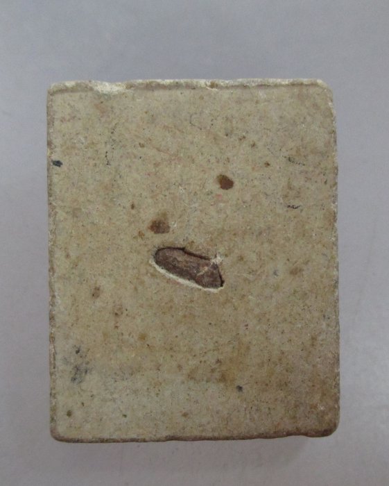 20 บาท พระเนื้อผงพิมพ์พระพุทธ หลังฝังข้าวสารหิน ไม่ทราบที่ครับ