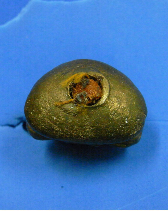 รูปหล่อเบ้าทุบรุ่นแรก สมเด็จพระญาณสังวร ปี 2553