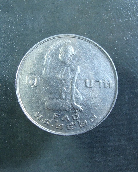 เหรียญ ๑ บาท องค์การอาหารและเกษตร (โปรยข้าว) พ.ศ. ๒๕๒๐ (เคาะเดียวผ่าน)