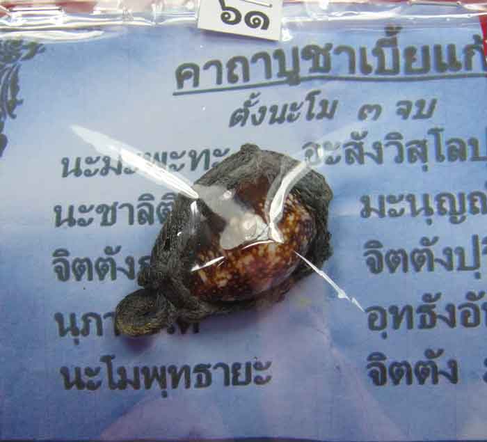 ***เริ่มที่ 10 บาท***เบี้ยแก้"กันสารพัด-แก้สารพัน แก้ป้องกันคุณไสย สิ่งเลวร้ายต่างๆ