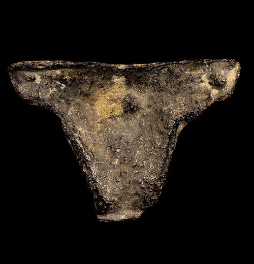 พนัสบดี