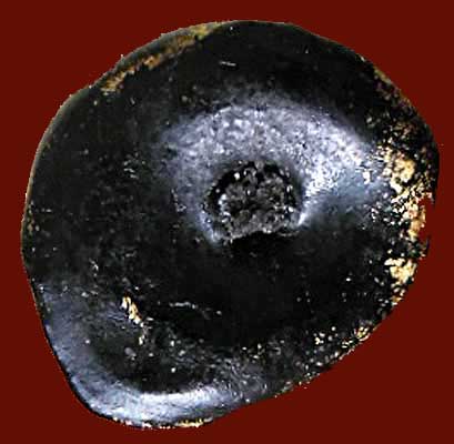 *พระบัวเข็ม กรุวัดชนะสงคราม*