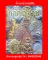 หนังสือพระยอดนิยมภาคอีสาน