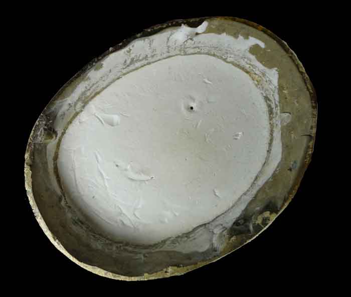 พระสีวลี ไม่ทราบที่