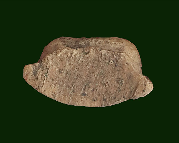 พระรอด วัดมหาวัน