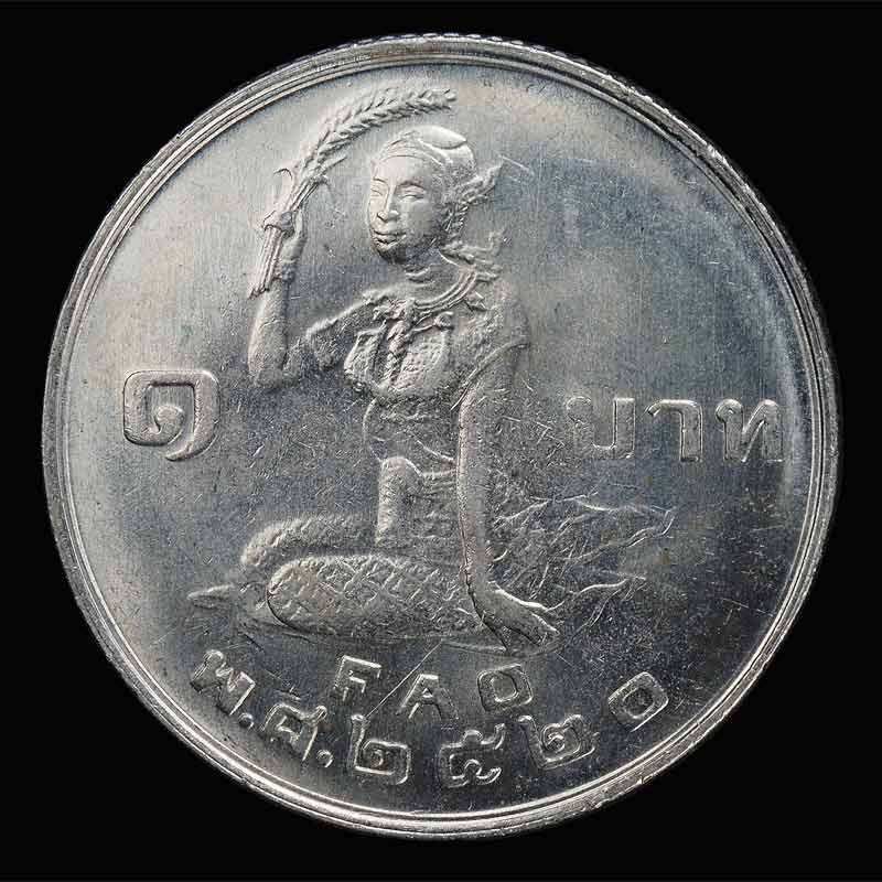 เหรียญรัชกาลที่ 9 เหรียญ ๑ บาท ปี2520 (ในหลวงโปรยข้าว หลังพระแม่โพสพ) ...#2