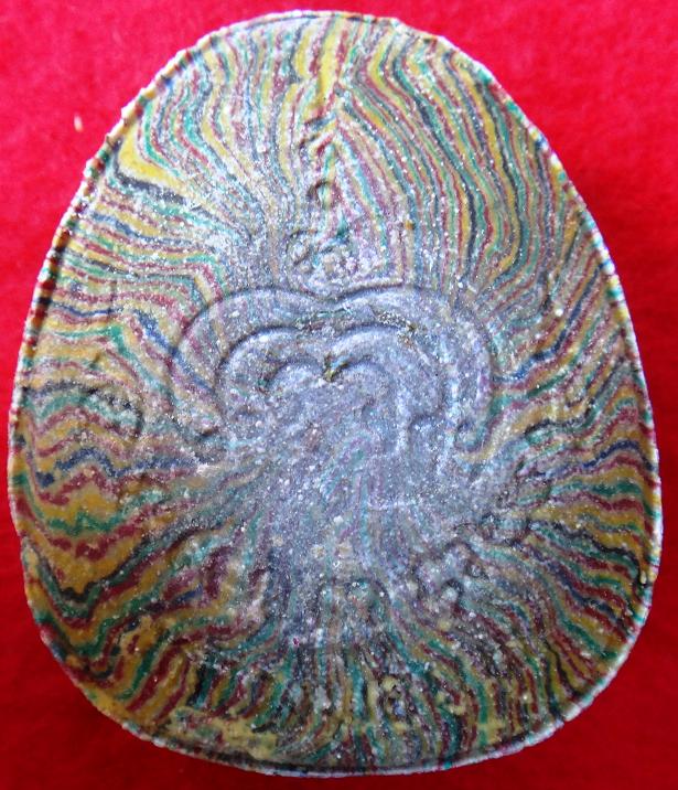 พระปิเตา หลวงพ่อแพ สายรุ้ง วัดพิกุลทอง