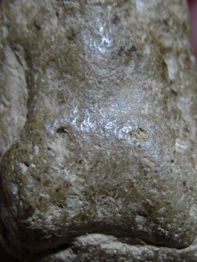 พระเม็ดน้อยหน่า เนื้อดิน จ.สุโขทัย