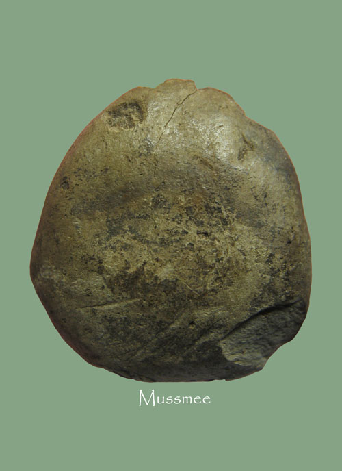 @@@ พระชุดมงคลมหาลาภ แม่ชีบุญเรือน (พิมพ์พระสังกัจจายน์) พระสวยยยยยยยยยยยย ### เคาะเดียว ### @@@