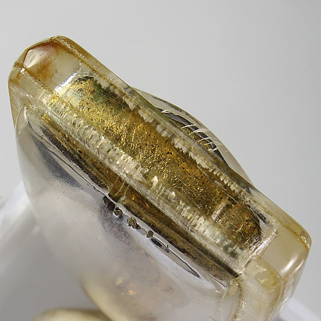  รูปหล่อหลวงพ่อแพ วัดพิกุลทอง รุ่นแรก