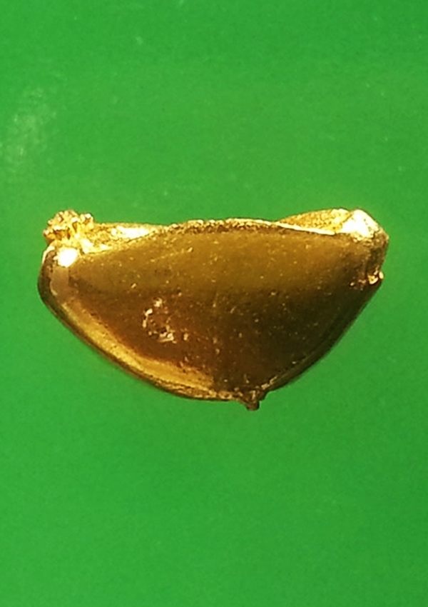 พระพุทธสิหิงค์ วัดสิรินธรเทพรัตนราม จ.นครปฐม รุ่นอุดมโชคโภคทรัพย์ พิธีพุทธาภิเษก 2 ครั้ง ปี 2548 เนื