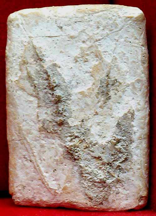 *ทรงหนุมาน กรุวัดคู้สลอด*