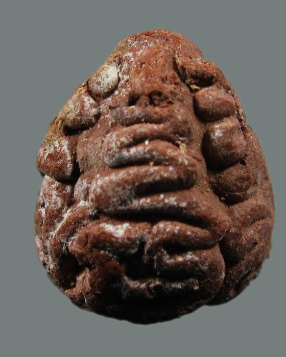  ลูกอมเนื้อชานหมาก หลวงปู่หงษ์ พรหมปัญโญ วัดเพชรบุรี 03