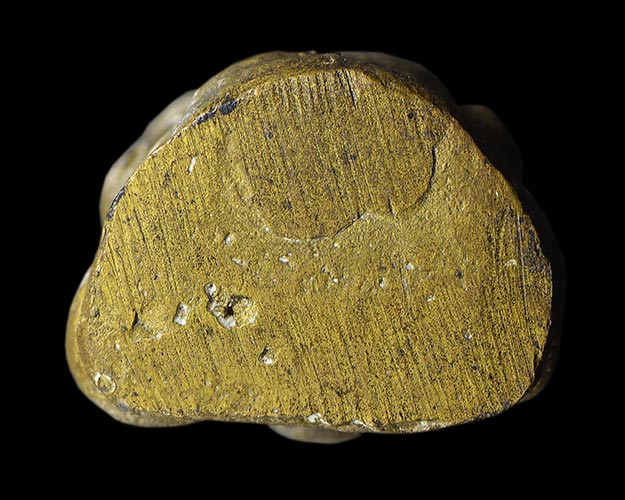 รูปหล่อโบราณ บาตรเล็ก หลวงพ่อโบ วัดศิลาชลเขต(วัดหิน) จ.นครศรีธรรมราช 2485 น้ำทองกระจาย สภาพสวยมากคับ