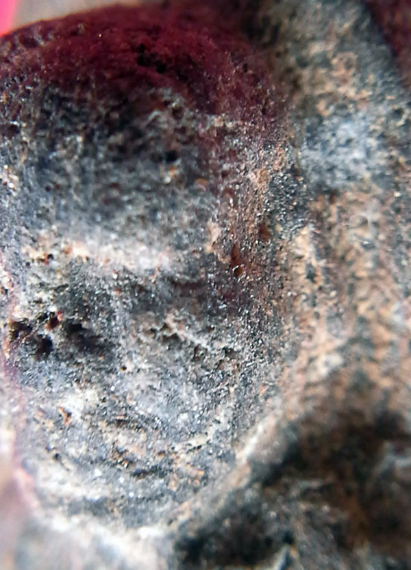 หลวงพ่อทวดเนื้อว่าน 2497 พิมพ์ใหญ่ 