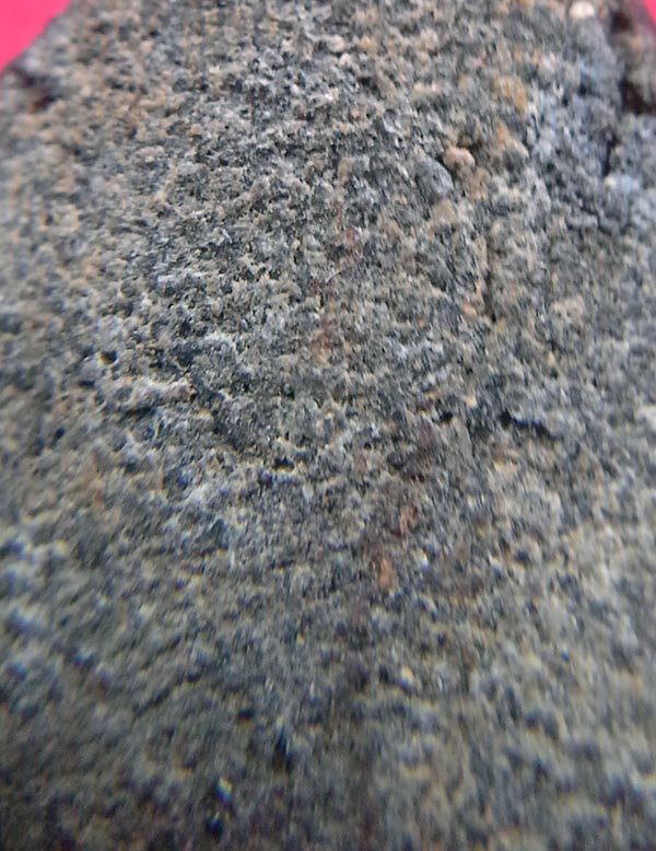 หลวงพ่อทวดเนื้อว่าน 2497 พิมพ์ใหญ่ 