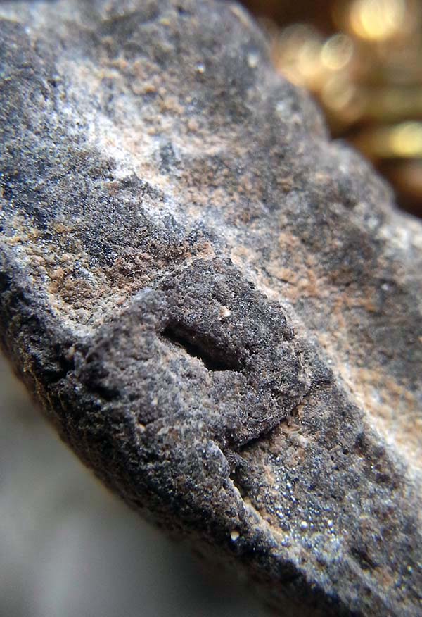 หลวงพ่อทวดเนื้อว่าน 2497 พิมพ์ใหญ่ 