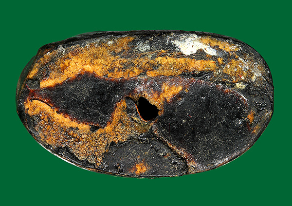 พระปิดตา สารพัดนึก รุ่น6รอบ หลวงพ่อพรม วัดขนอนเหนือ ปี2528 (กล่องเดิม) องค์ที่7