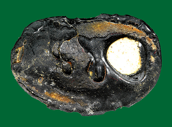 พระปิดตา สารพัดนึก รุ่น6รอบ หลวงพ่อพรม วัดขนอนเหนือ ปี2528 (กล่องเดิม) องค์ที่11