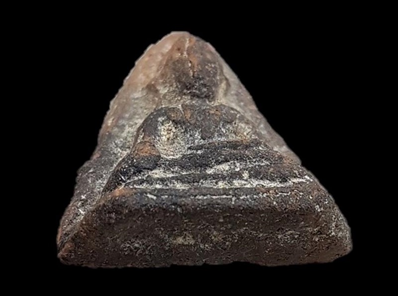 พระโป้กรุบางกระทิงอยุธยาสีผ่านหายากมาก เนื้อแกร่งจัดจ้านสวยน่ารัก 