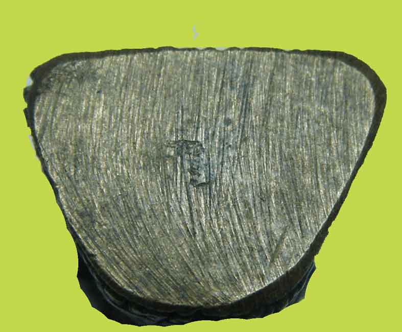 เคาะเดียวแดงครับ...รูปหล่อหลวงพ่อบุญตา รุุนละสังขาร วัดคลองเกตุ ลพบุรี