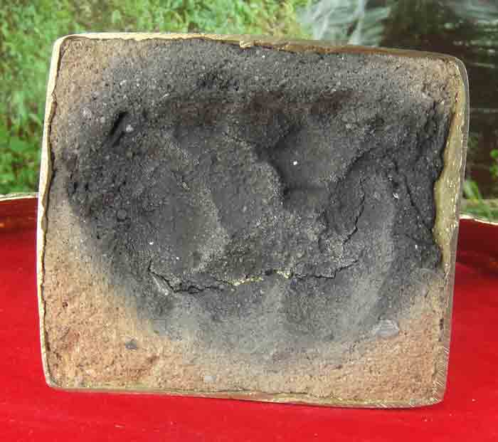 ***เริมที่ 100 บาท*** พญาครุฑกางปีก เนื้อทองเหลืองขัดเงา เครื่องหมายแห่งสิทธิอำนาจและความเป็นมงคล 