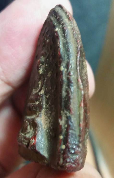 พระพิมพ์บัวเล็บช้าง เนื้อดิน กรุวัดชนะสงคราม กรุงเทพฯ สภาพพอใช้