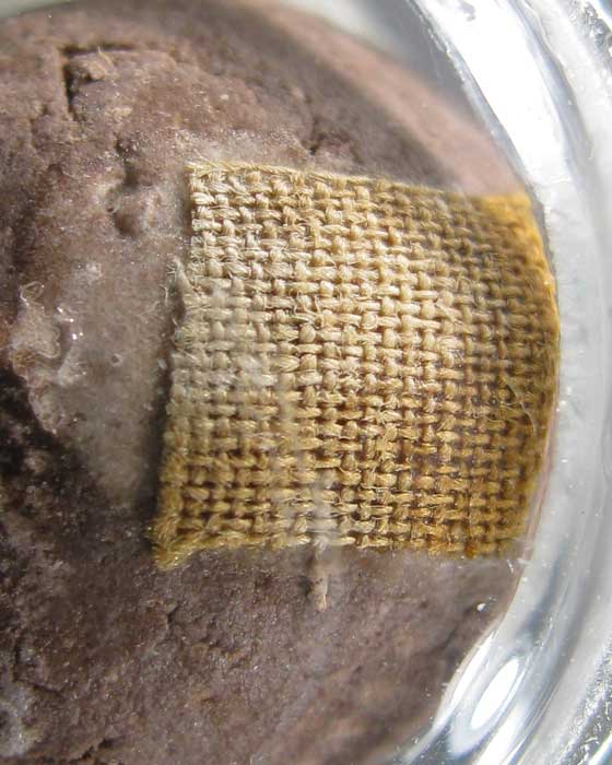 ลูกอม เสาร์ห้าบูชาครู ปี43 หลวงปู่หมุน ฐิตสีโล 