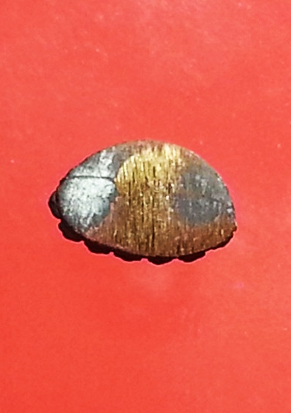 พระชัย สมเด็จพระสังฆราช วัดบวรนิเวศวิหาร(1)