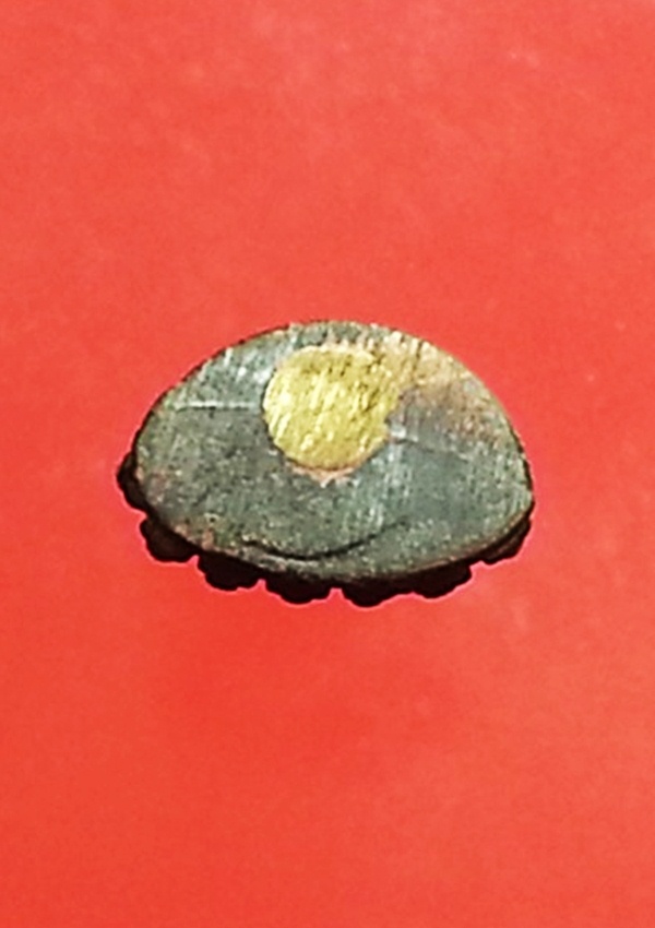 พระชัย สมเด็จพระสังฆราช วัดบวรนิเวศวิหาร (2)