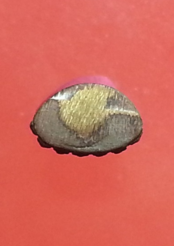 พระชัย สมเด็จพระสังฆราช วัดบวรนิเวศวิหาร (3)