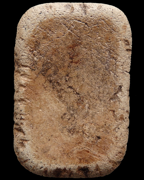 พระสมเด็จปรกโพธิ์พิมพ์ใหญ่ 21 ใบ ฐานสิงห์ หลวงพ่อกวย วัดโฆสิตาราม จ.ชัยนาท