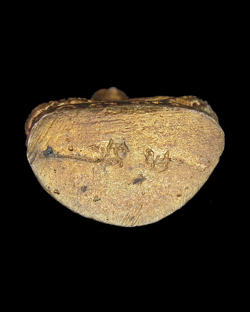 พระสังกัจจายน์มหาโชคมหาลาภ